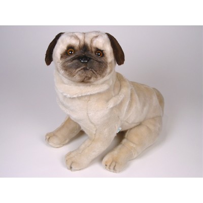 Pug 2247 by Piutrè