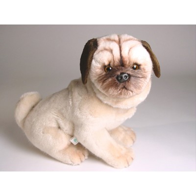 Pug Puppy 2249 by Piutrè