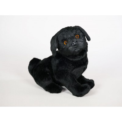 Pug Puppy 3374 by Piutrè