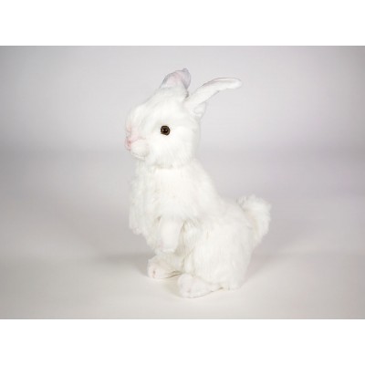 Rabbit 0629 by Piutrè