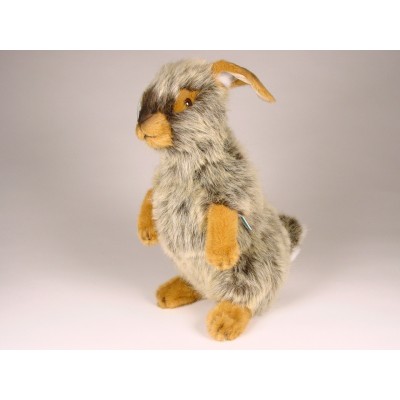 Rabbit 0630 by Piutrè