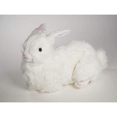 Rabbit 0631 by Piutrè