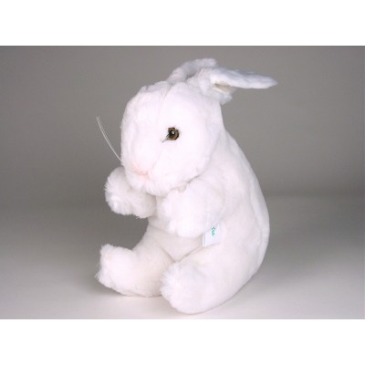 Rabbit 0708 by Piutrè