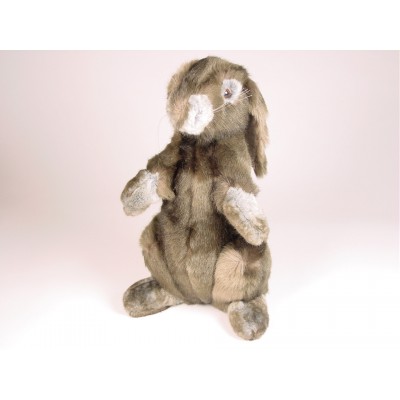 Rabbit 0720 by Piutrè