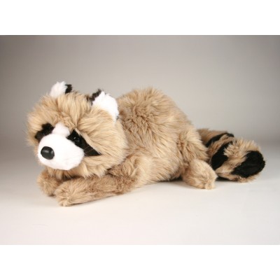 Raccoon 2656 by Piutrè 