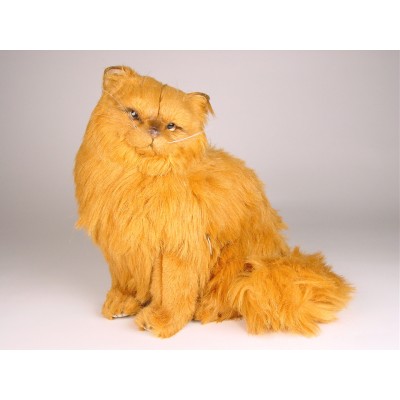 Red Persian Cat 2455 by Piutrè