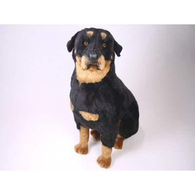 Rottweiler 2257 by Piutrè