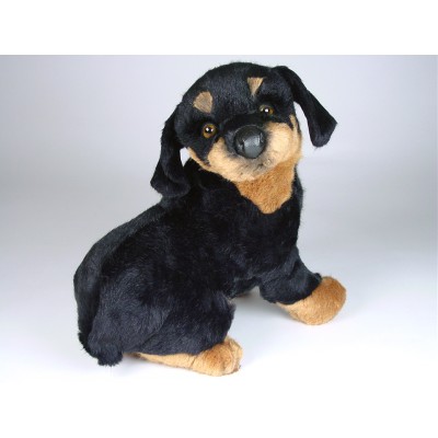 Rottweiler Puppy 2259 by Piutrè 