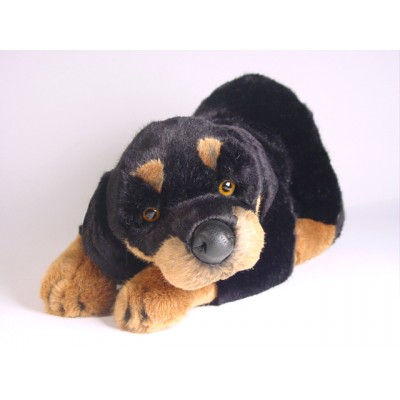 Rottweiler Puppy 2260 by Piutrè 