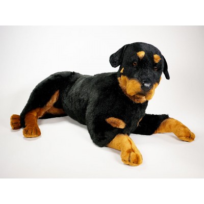 Rottweiler 2258 by Piutrè