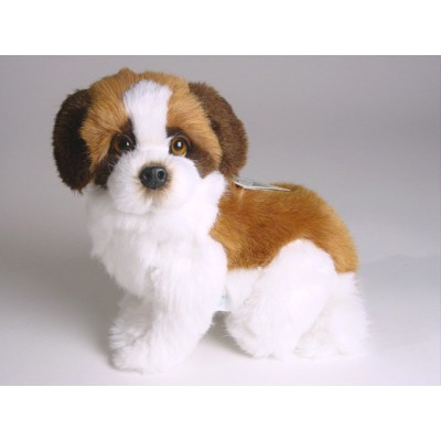 Saint Bernard Puppy 1306 by Piutrè