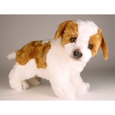 Saint Bernard Puppy 2290 by Piutrè
