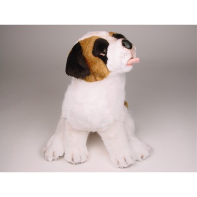 Saint Bernard Puppy 2295 by Piutrè