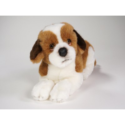 Saint Bernard Puppy 3327 by Piutrè 
