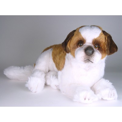 Saint Bernard Puppy 4228 by Piutrè 