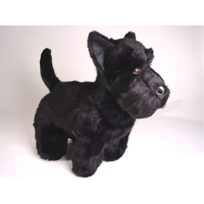 Scottish Terrier 0260 by Piutrè