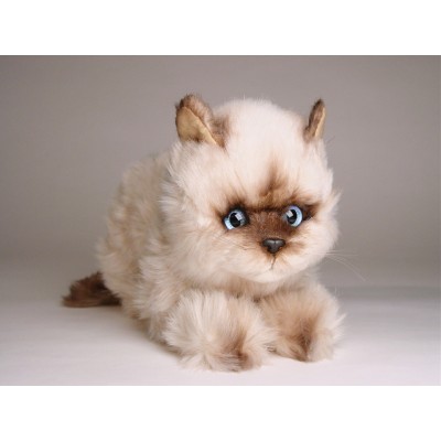 ​Seal Point Himalayan ​Kitten ​2368 by Piutrè 
