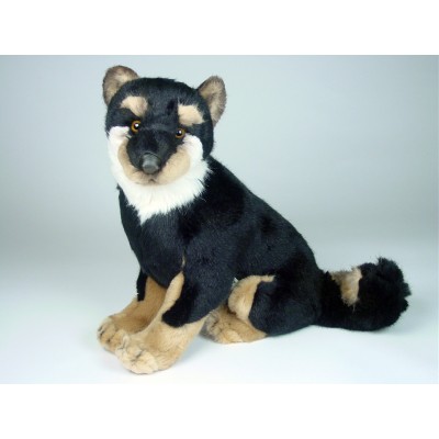 Shiba Inu Puppy 3369 by Piutrè 