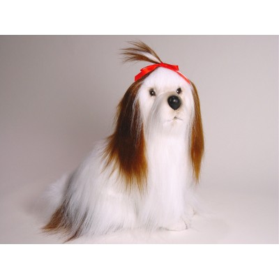 Shih Tzu 3272 by Piutrè 