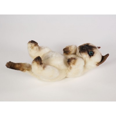 Siamese Cat 2328 by Piutrè 