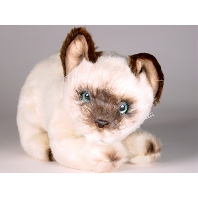 Siamese Kitten 2348 by Piutrè 