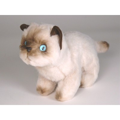 Siamese Kitten 2446 by Piutrè 