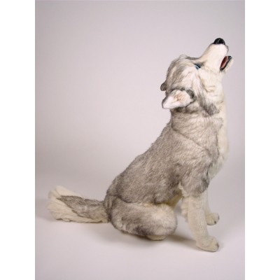 Siberian Husky 3330 by Piutrè 