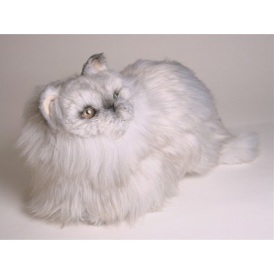 Silver Persian Kitten 2425 by Piutrè 