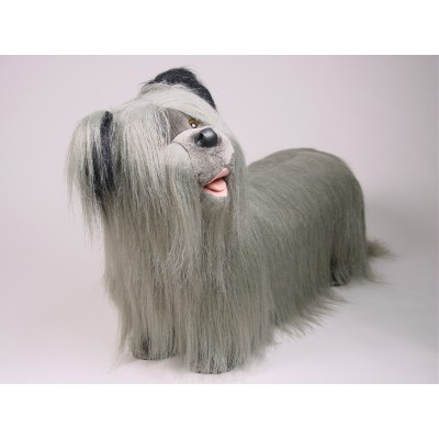 Skye Terrier 1266 by Piutrè