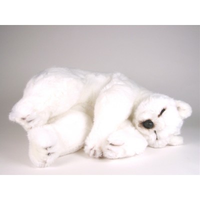 Sleeping Bear Cub 0122 by Piutrè 