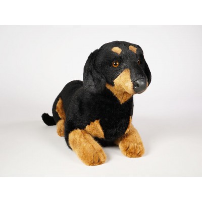 Smooth Dachshund 1211 by Piutrè