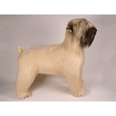 Soft-Coated Wheaten Terrier 0254 by Piutrè