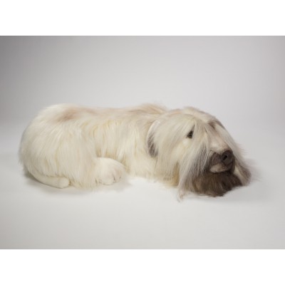 ​Soft-Coated Wheaten Terrier 0255 by Piutrè