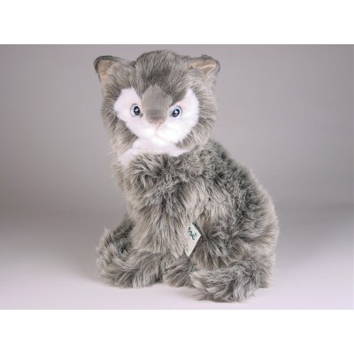 Soriano Kitten 0319 by Piutrè