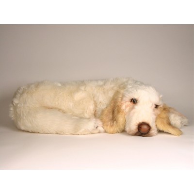 Spinone Italiano 2262 by Piutrè