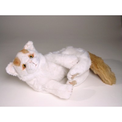 Turkish Van Kitten 2319 by Piutrè 