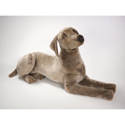 Weimaraner 3352 by Piutrè 