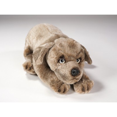 Weimaraner Puppy 3355 by Piutrè 