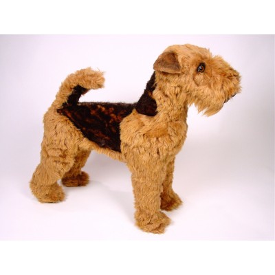 Welsh Terrier 1235 by Piutrè