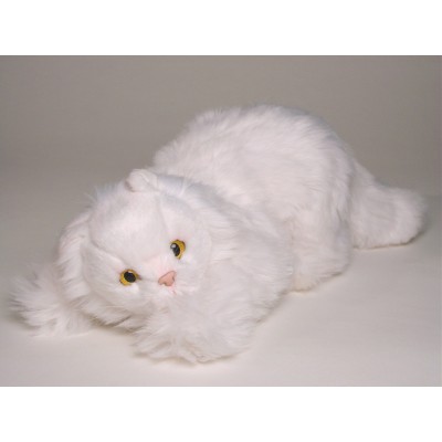 White Persian Kitten 0315 by Piutrè