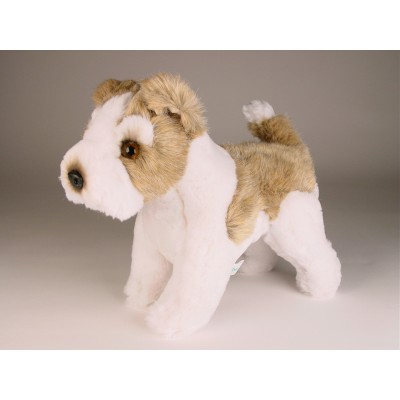 Wire Fox Terrier Puppy 3279 by Piutrè 