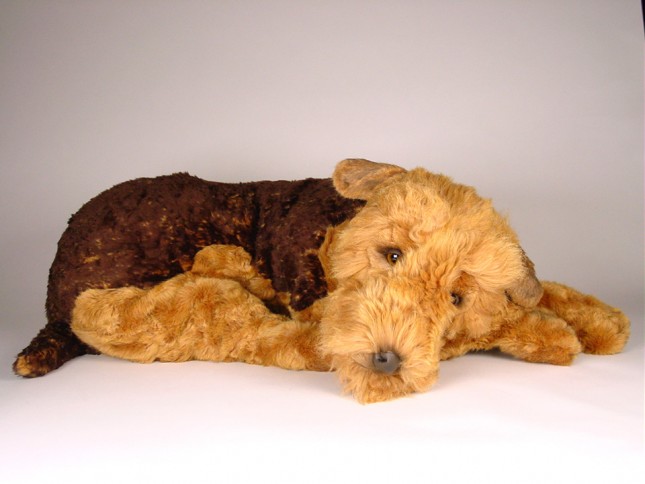 Airedale Terrier 2230 by Piutrè