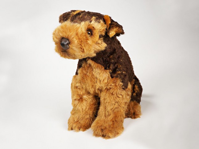 Airedale Terrier Puppy 2219 by Piutrè