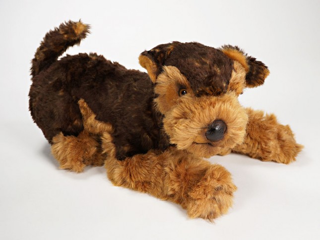 Airedale Terrier Puppy 2220 by Piutrè