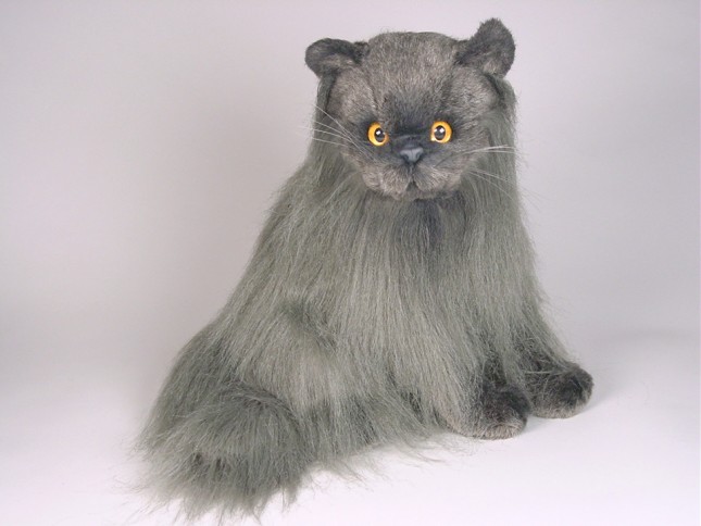 Angora Cat 2334 by Piutrè