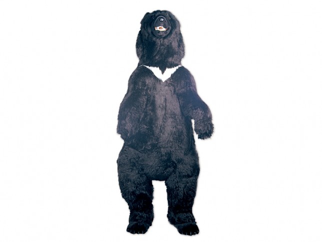 Asian Black Bear 2186 by Piutrè 