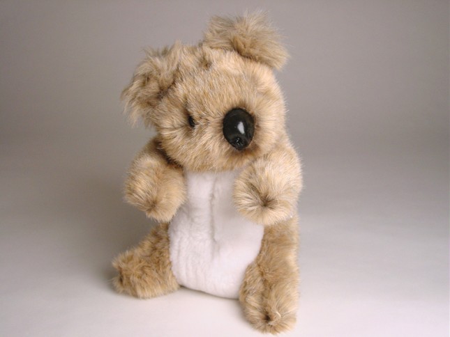 Baby Koala 2673 by Piutrè