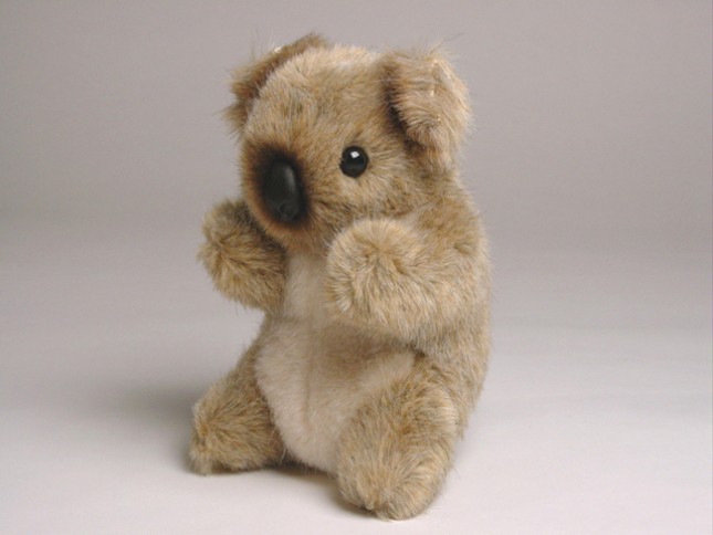 Baby Koala 2674 by Piutrè 