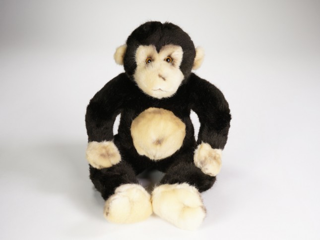 ​Baby Orangutan 2648 by Piutrè
