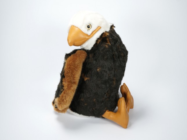 Bald Eaglet 2642 by Piutrè